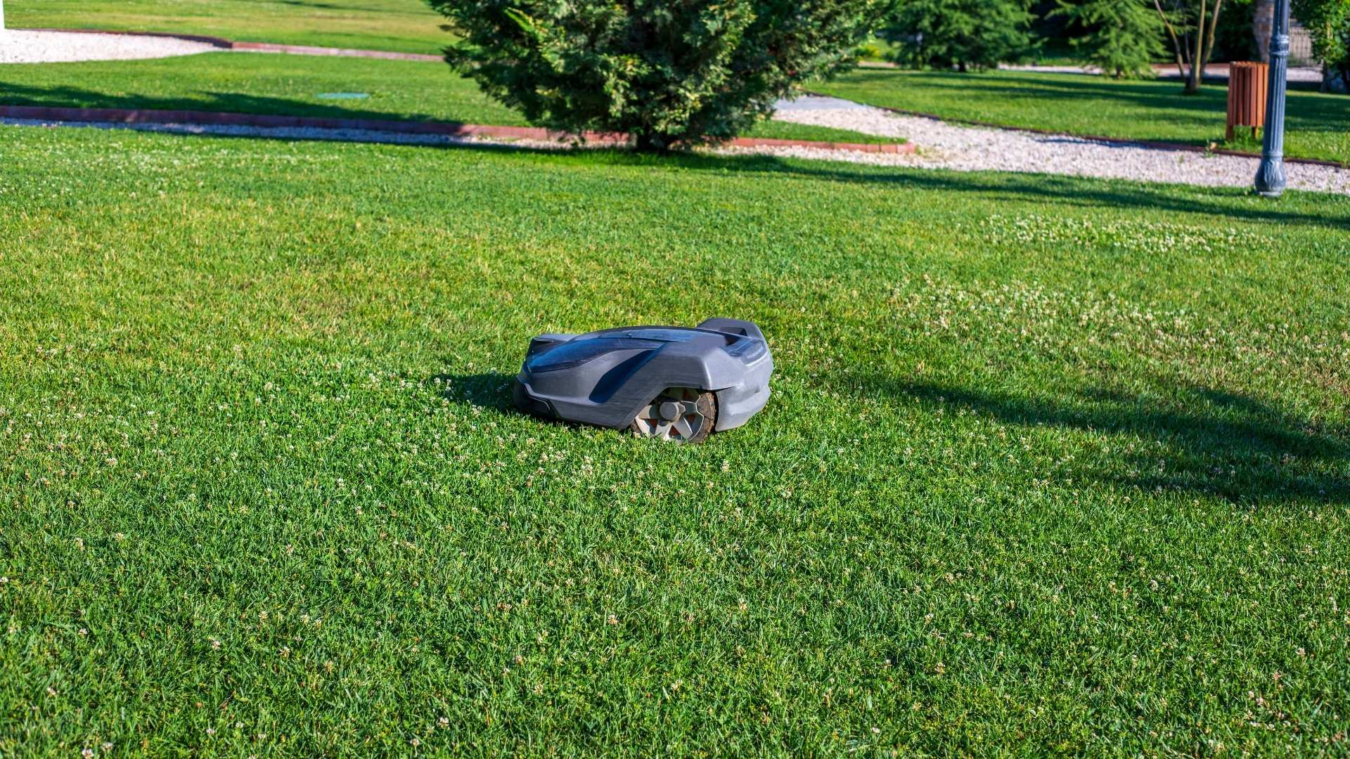 Robot tondeuse autonome sur une grande pelouse de jardin résidentiel