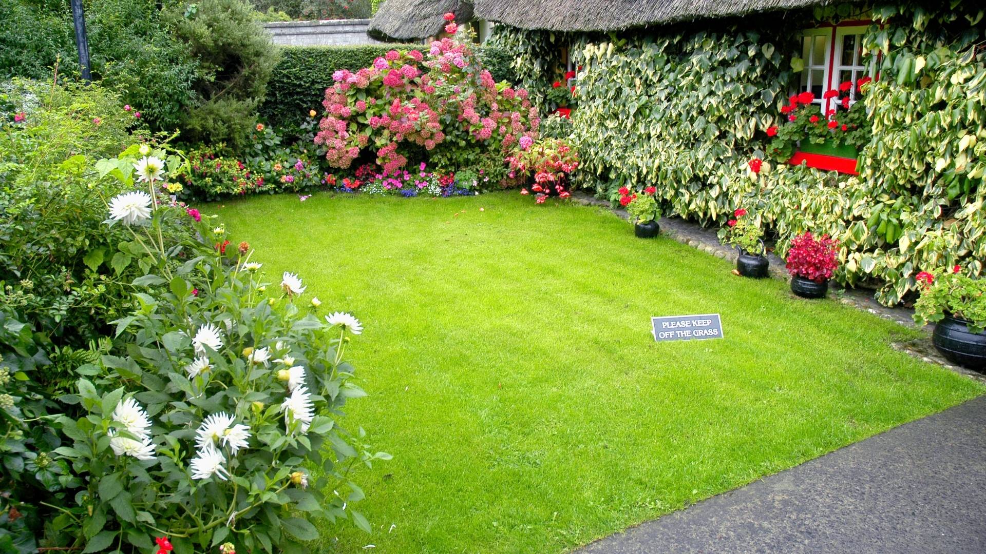 Small cottage garden with flower beds and a neatly trimmed rectangular lawn