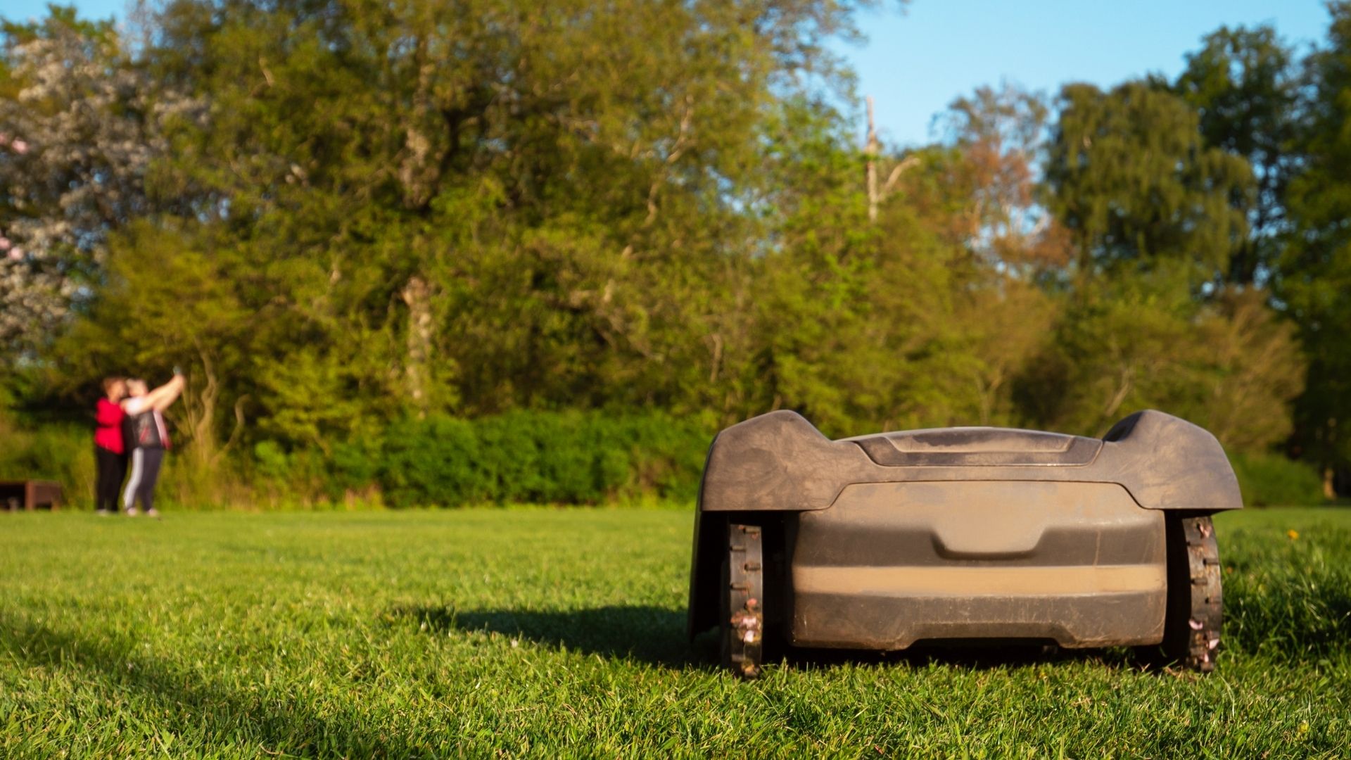 Rear view of a robot mower on a tree-lined lawn in the late afternoon