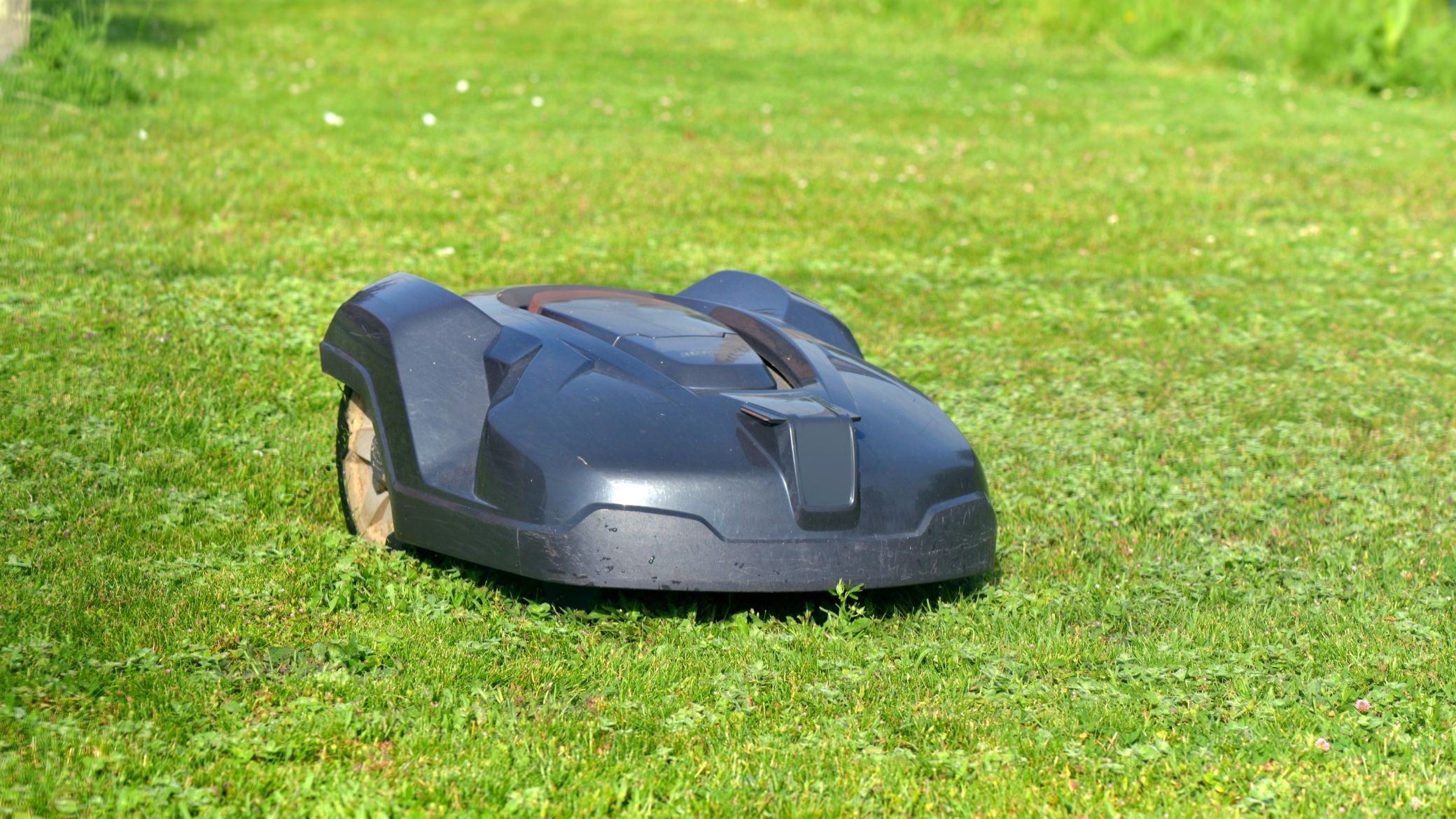 Side view of a black robot mower on a gently sloped lawn